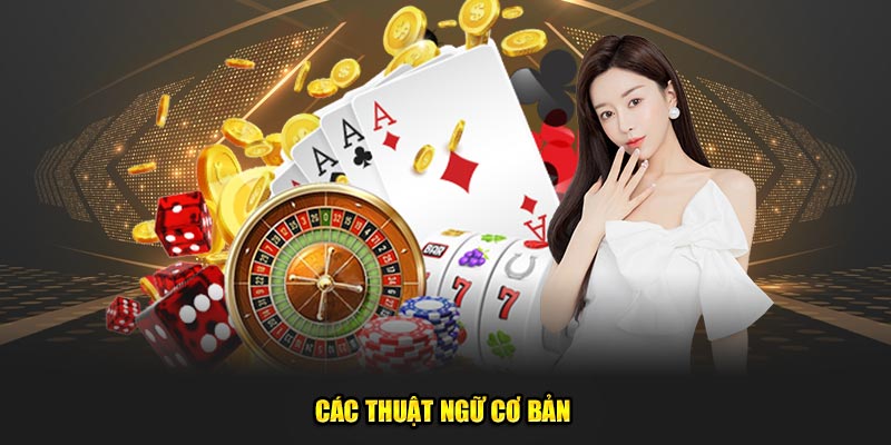 Các thuật ngữ cơ bản 