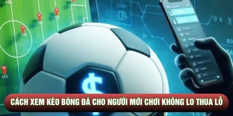 Cách Xem Kèo Bóng Đá Cho Người Mới Chơi Không Lo Thua Lỗ