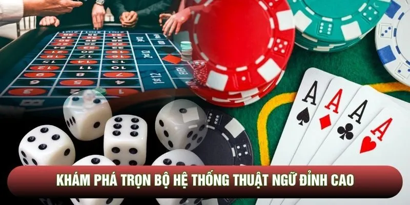 Khám phá trọn bộ hệ thống thuật ngữ đỉnh cao