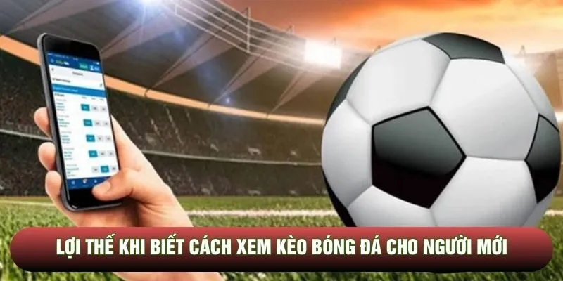 Lợi thế khi biết cách xem kèo bóng đá cho người mới